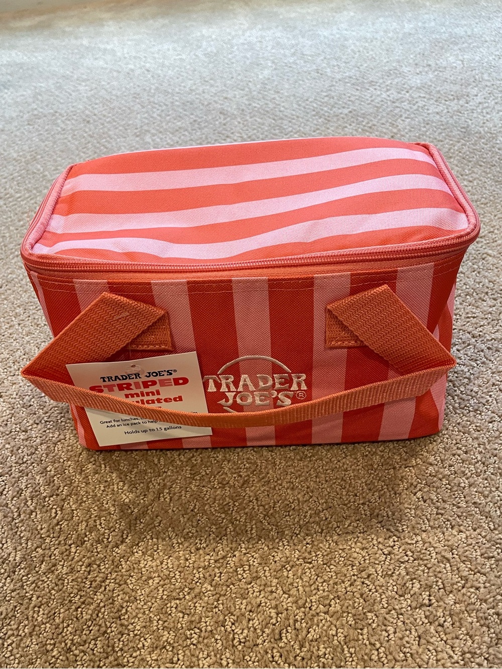Trader Joe's Strawberry Striped Mini Insulated Bag